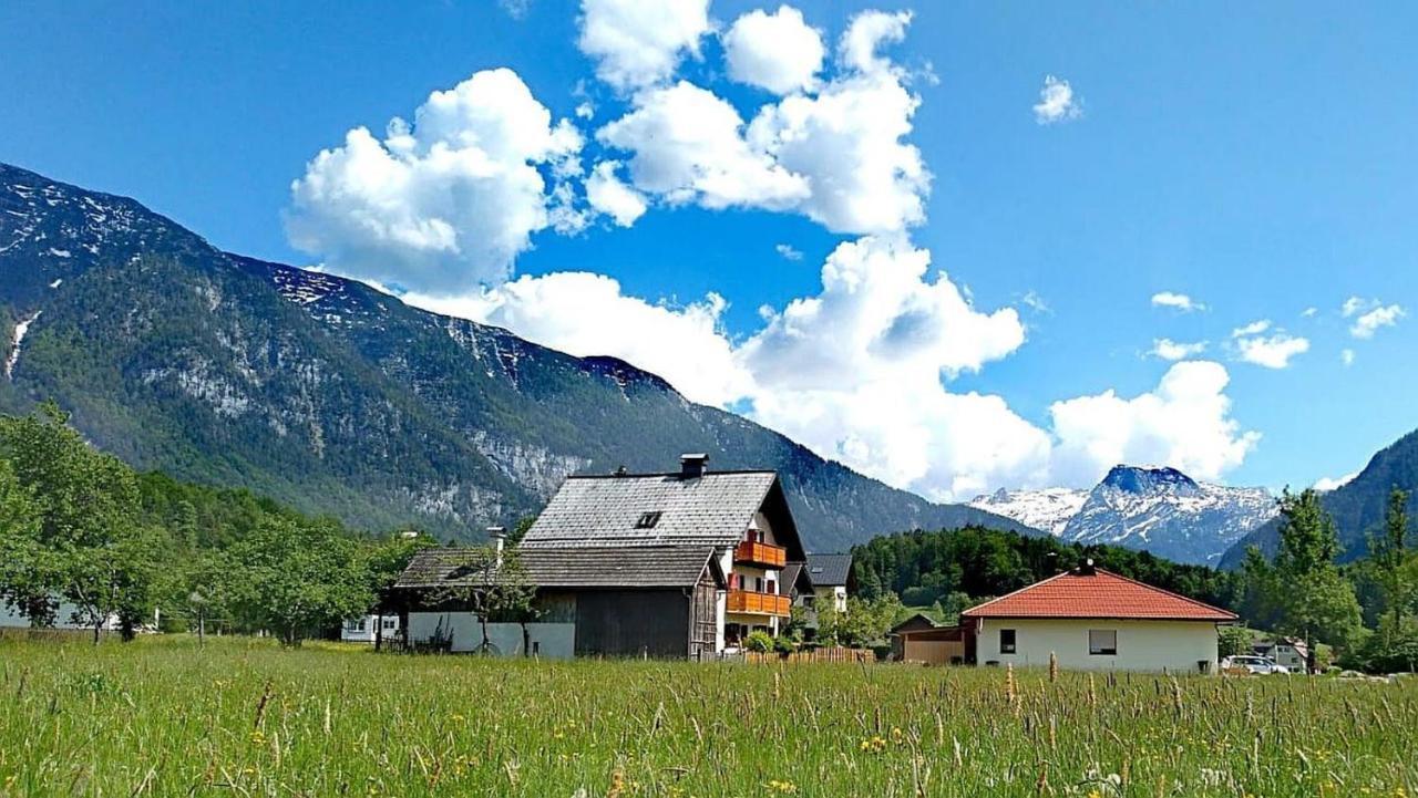 Haus Moni Apartment Бад Гойзерн Екстериор снимка