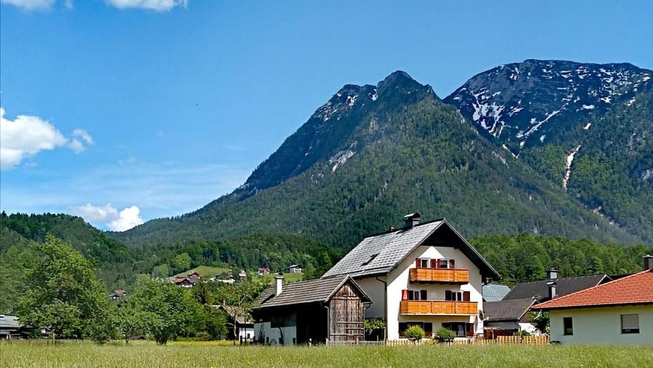 Haus Moni Apartment Бад Гойзерн Екстериор снимка